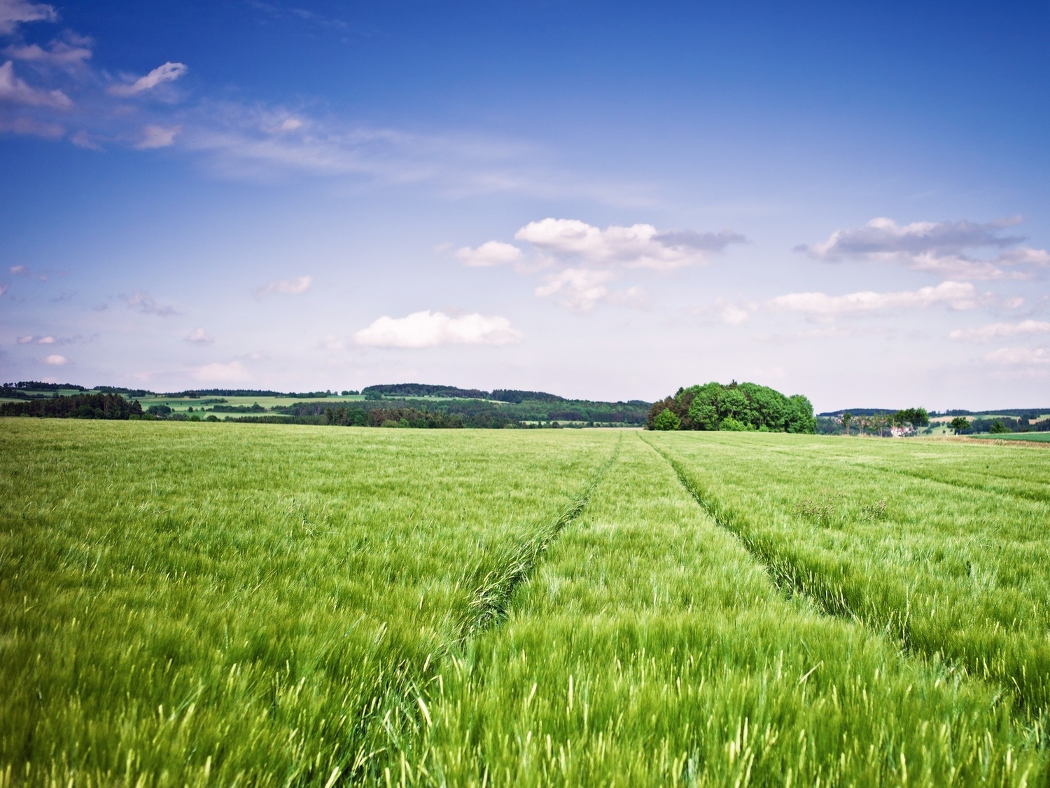 <span style="font-weight: bold;">Оценка земельного участка</span>